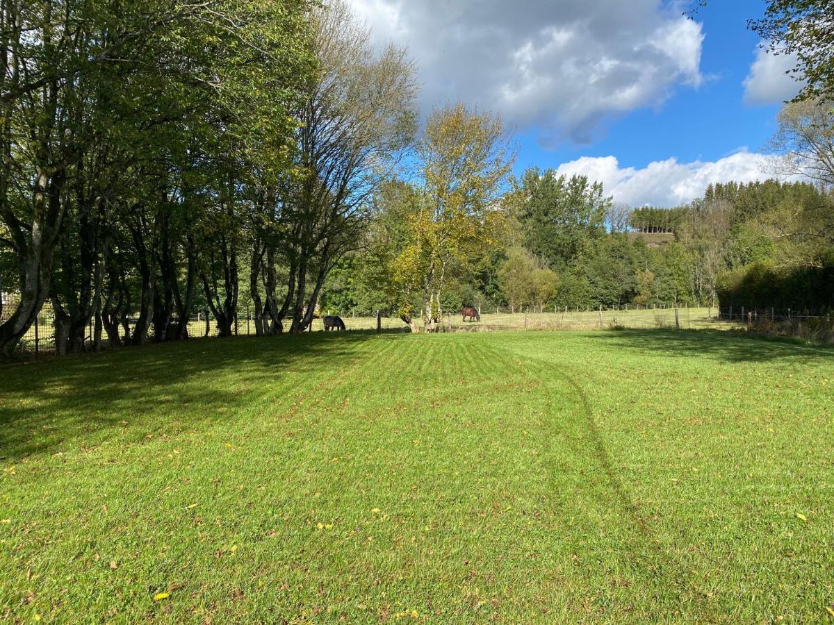 Le Héron - Gîte de charme avec rivière - 6 ou 10 personnes Fauvillers Extérieur photo