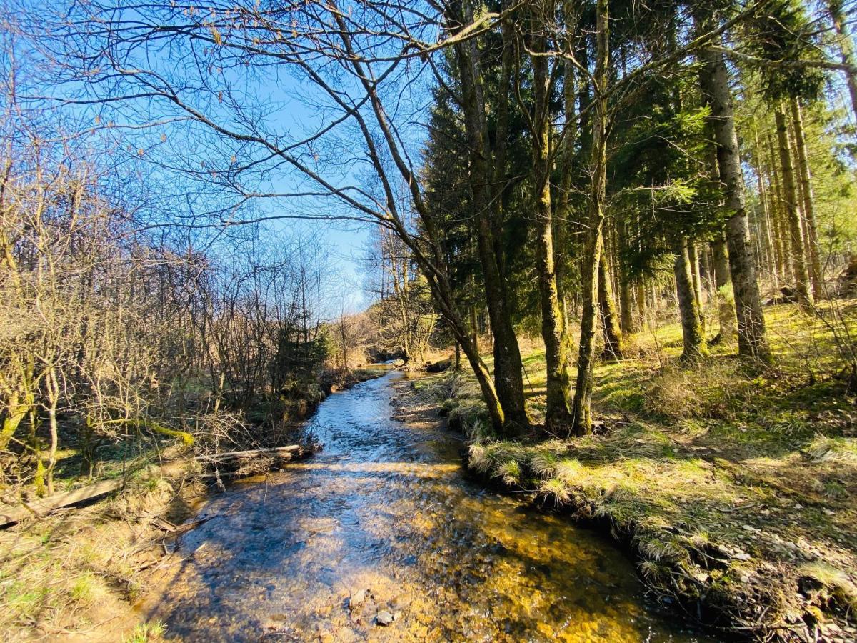 Le Héron - Gîte de charme avec rivière - 6 ou 10 personnes Fauvillers Extérieur photo