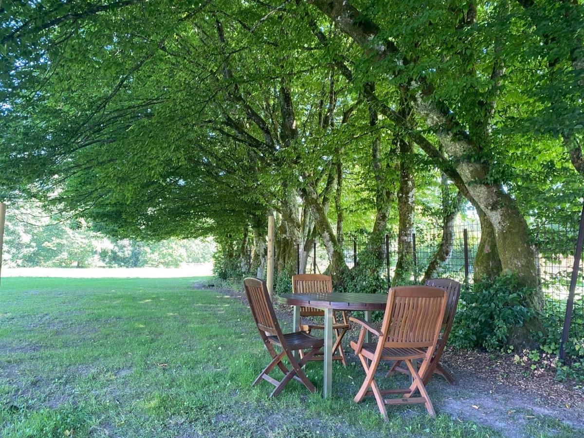 Le Héron - Gîte de charme avec rivière - 6 ou 10 personnes Fauvillers Extérieur photo